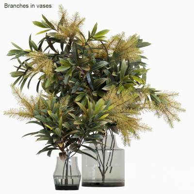 现代玻璃花瓶  植物花草 桌面植物摆件